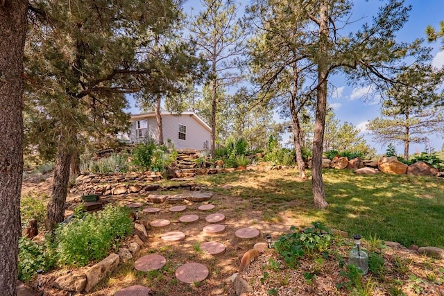 14600 County Rd 30.1, Weston, CO 81091 - photo 59