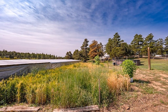 14600 County Rd 30.1, Weston, CO 81091 - photo 36