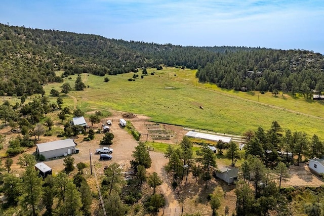 14600 County Rd 30.1, Weston, CO 81091 - photo 43