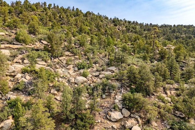 14600 County Rd 30.1, Weston, CO 81091 - photo 28