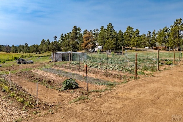 14600 County Rd 30.1, Weston, CO 81091 - photo 34