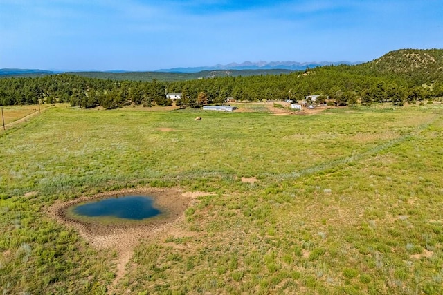 14600 County Rd 30.1, Weston, CO 81091 - photo 41