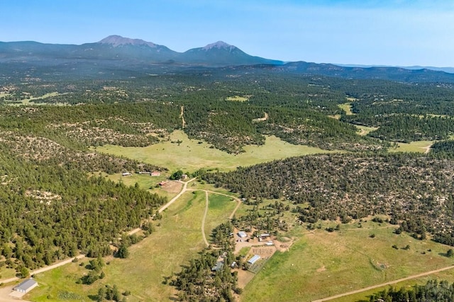 14600 County Rd 30.1, Weston, CO 81091 - photo 26