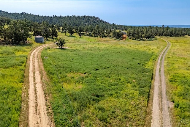 14600 County Rd 30.1, Weston, CO 81091 - photo 42
