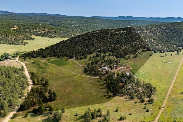 14600 County Rd 30.1, Weston, CO 81091 - photo 76