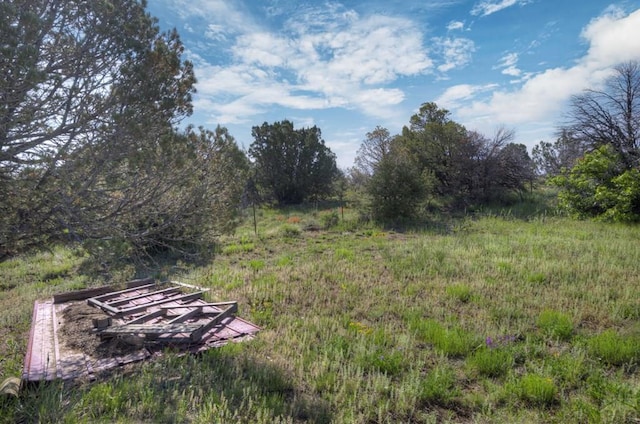 2000 Comanche Dr, Walsenburg, CO 81089 - view of yard