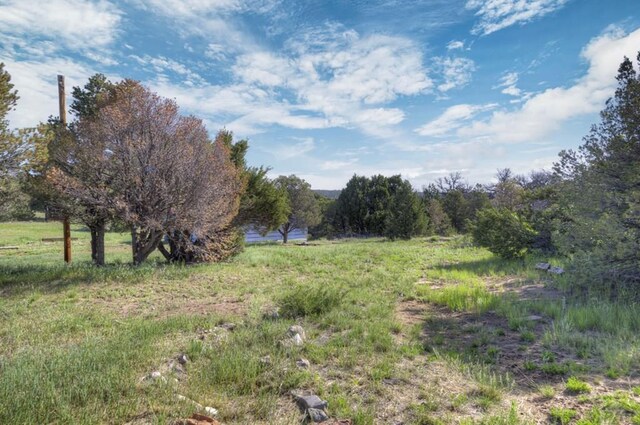 2000 Comanche Dr, Walsenburg, CO 81089 - view of yard