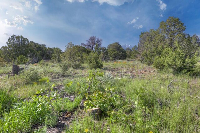 2000 Comanche Dr, Walsenburg, CO 81089 - view of nature