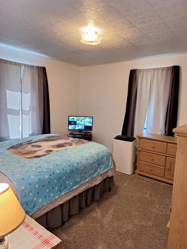 1189 Colorado St, Springfield, CO 81073 - photo 11