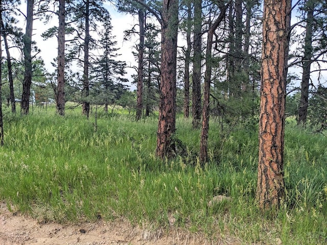 TBD Mary Dr, Rye CO, 81069 land for sale