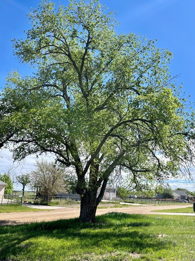TBD Fort Crockett Ave, Colorado City, CO 81019 - photo 3