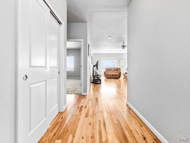 1632 Positano Ct, Pueblo, CO 81008 - photo 3