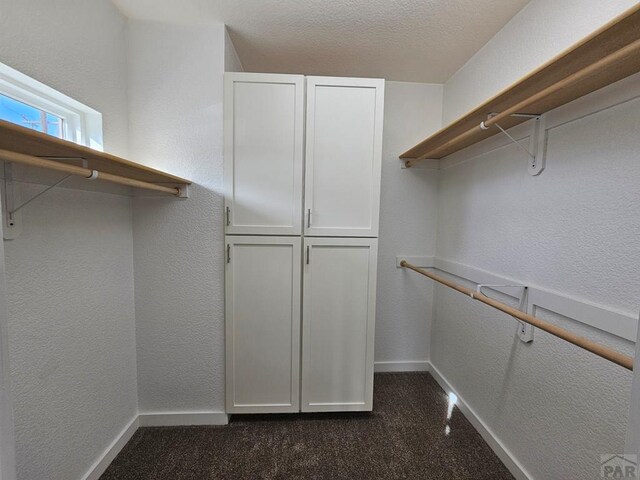 spacious closet featuring dark carpet