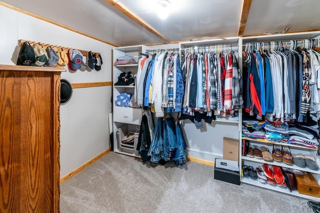 spacious closet with carpet floors