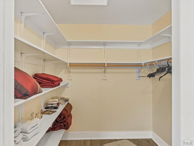 walk in closet featuring wood finished floors