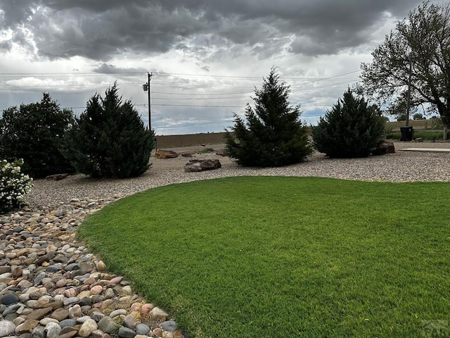 25433 County Rd 25, La Junta, CO 81050 - view of green lawn