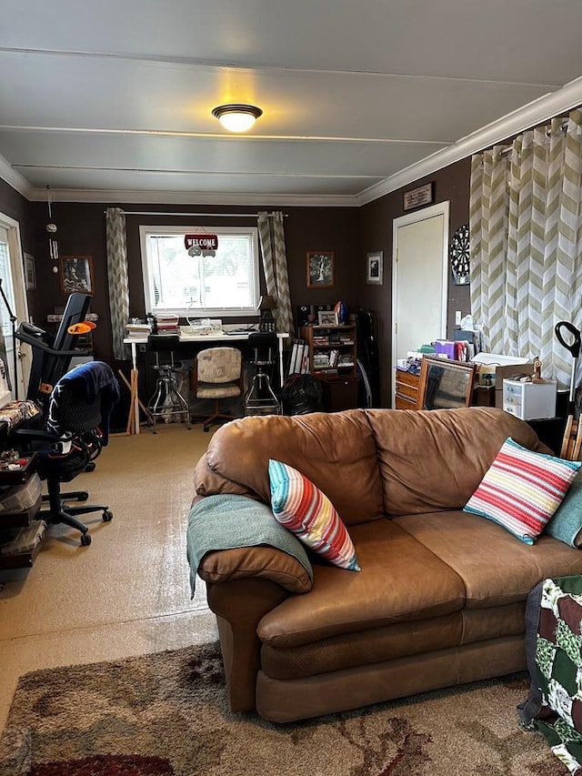 25433 County Rd 25, La Junta, CO 81050 - living area with ornamental molding, healthy amount of natural light, and carpet floors