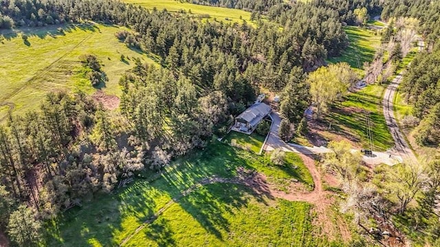 5207 N Creek Rd, Beulah, CO 81023 - aerial view of sparsely populated area