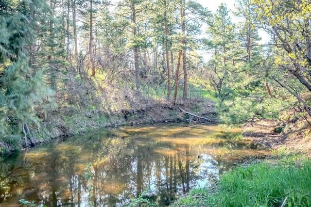 5207 N Creek Rd, Beulah, CO 81023 - view of nature