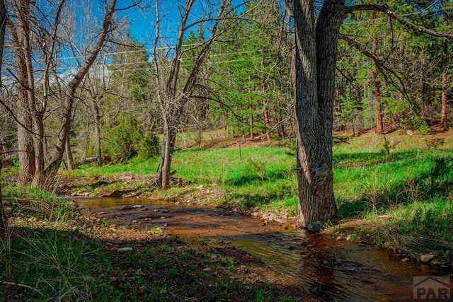 5207 N Creek Rd, Beulah, CO 81023 - view of undeveloped land