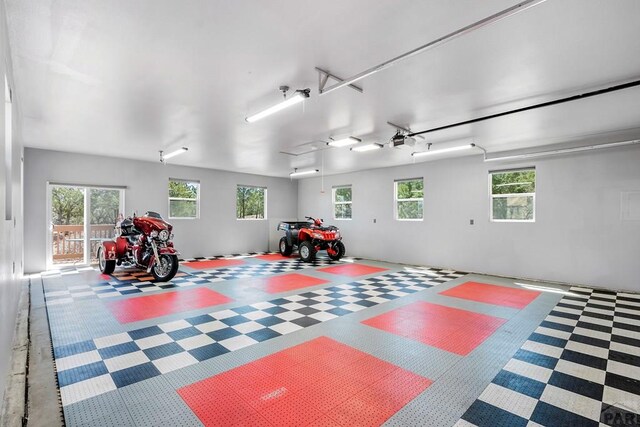 playroom with a garage, attic access, and plenty of natural light