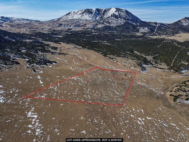 bird's eye view featuring a mountain view