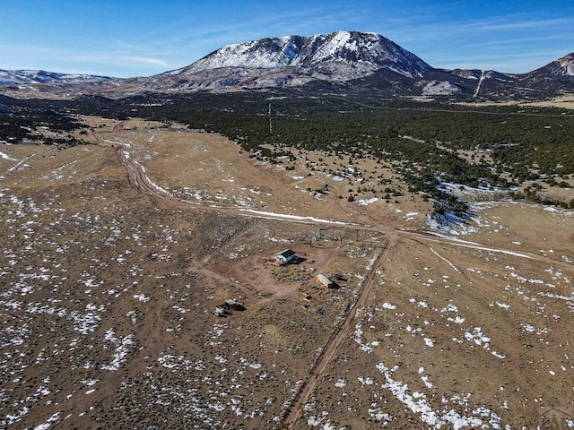 view of mountain feature