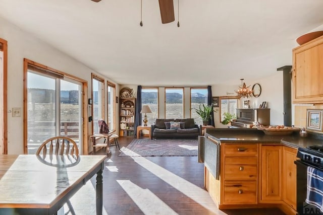 kitchen featuring dark wood-style flooring, dark countertops, gas stove, open floor plan, and light brown cabinets