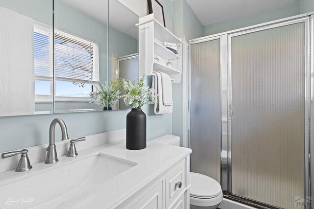 bathroom featuring toilet, a stall shower, and vanity