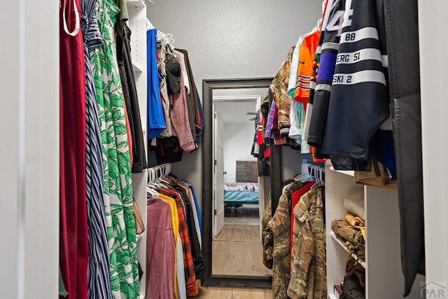 spacious closet featuring wood finished floors