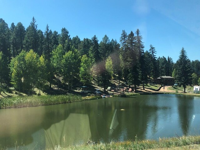 662 Spring Valley Ln, Florissant, CO 80816