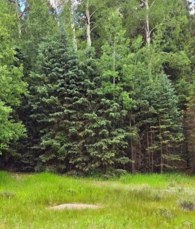 662 Spring Valley Ln, Florissant, CO 80816
