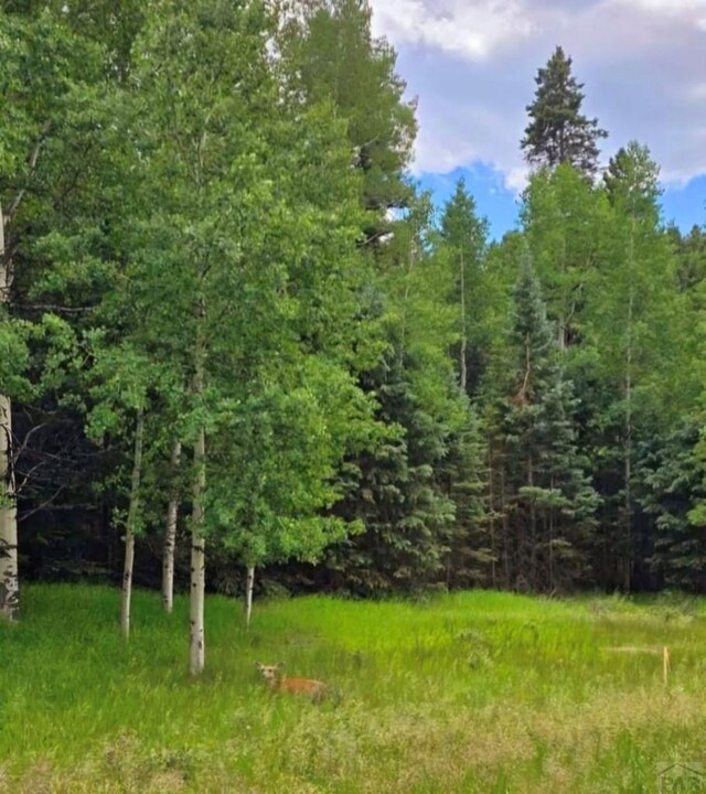 662 Spring Valley Ln, Florissant, CO 80816