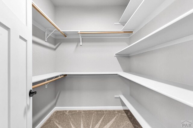 walk in closet featuring carpet and built in study area