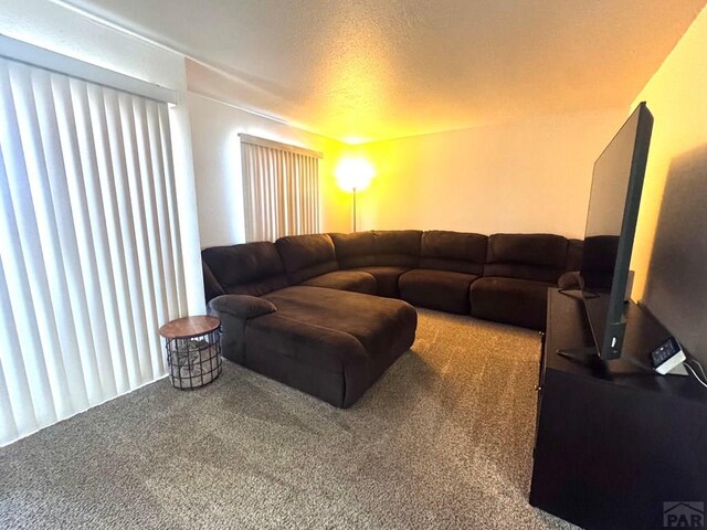 carpeted living room with a textured ceiling