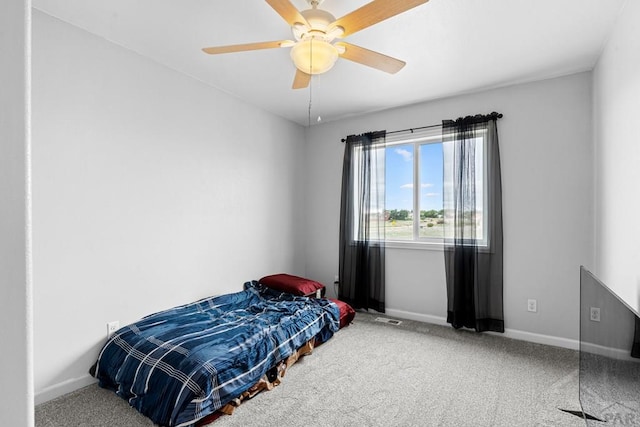 427 S Bayfield Dr, Pueblo West, CO 81007 - photo 13