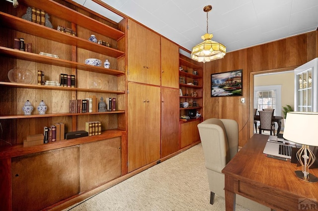 203 Melrose Ave, Pueblo, CO 81004 - photo 28