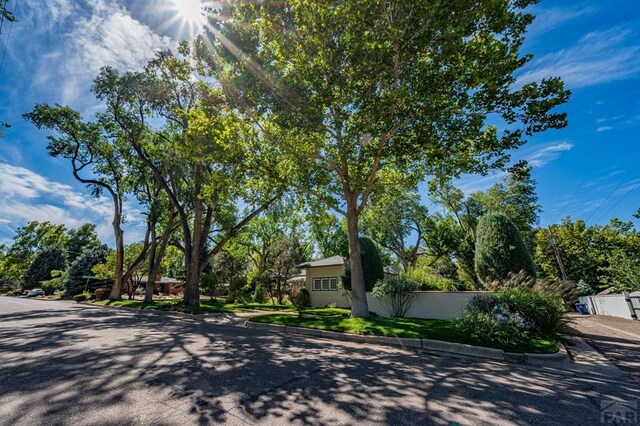 203 Melrose Ave, Pueblo, CO 81004 - photo 58
