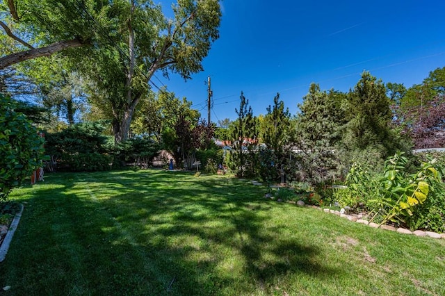 203 Melrose Ave, Pueblo, CO 81004 - photo 64