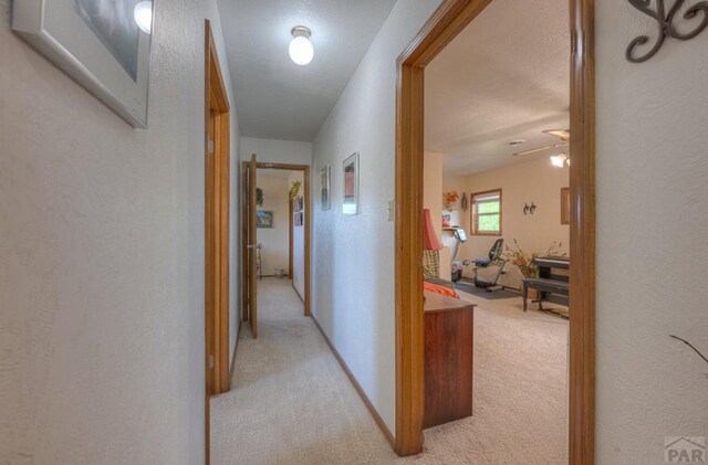 hall with light carpet, baseboards, and a textured wall