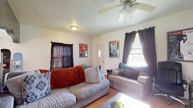 living room featuring a ceiling fan, wood finished floors, and a textured ceiling