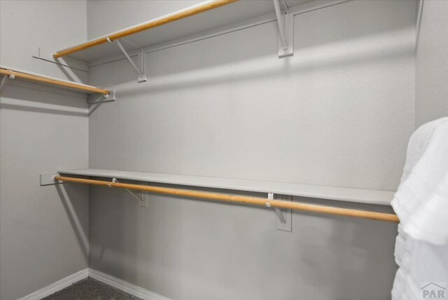 1121 N Calico Rock Ln, Pueblo West, CO 81007 - spacious closet with dark carpet