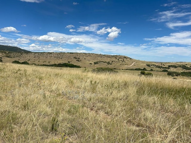 LOT106 Pinto Dr, Colorado City, CO 81019 - photo 4