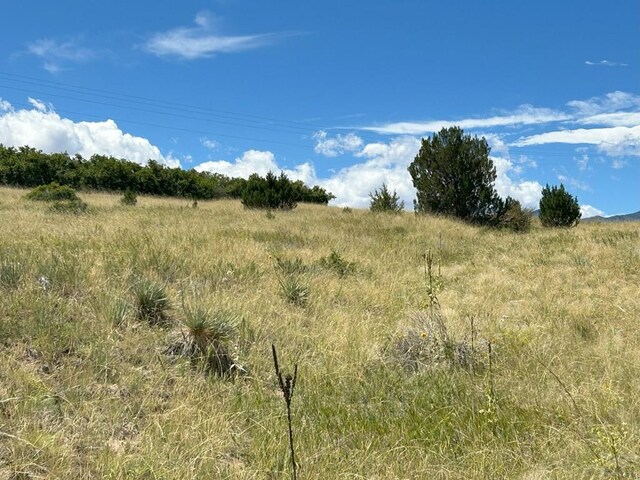 LOT106 Pinto Dr, Colorado City, CO 81019 - photo 3