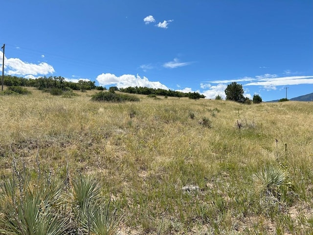 LOT106 Pinto Dr, Colorado City, CO 81019 - photo 2