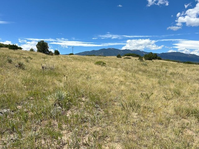 LOT106 Pinto Dr, Colorado City, CO 81019 - photo 1