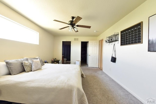 127 S Tequila Dr, Pueblo West, CO 81007 - photo 14