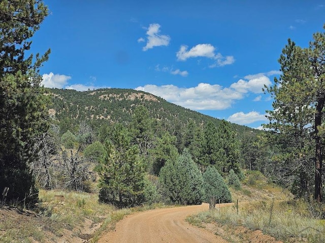 73 Alpine Way, Cotopaxi CO, 81223 land for sale