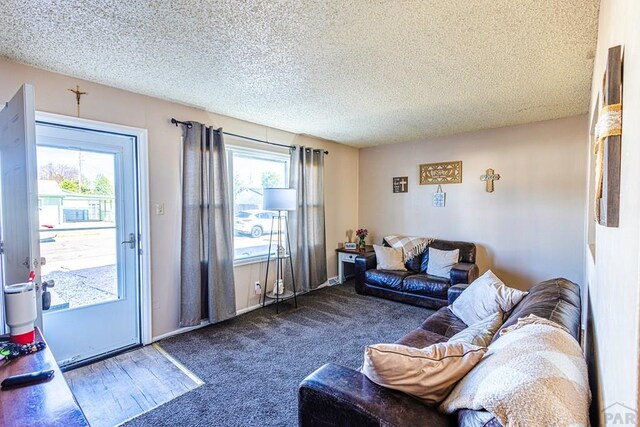living area featuring carpet, a textured ceiling, and baseboards