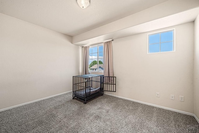 5312 Blue Spruce Dr, Pueblo, CO 81005 - photo 28